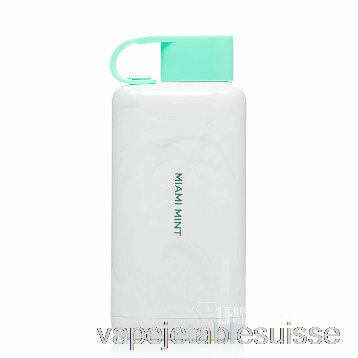 Vape Suisse Vozol Star 9000 Jetable Miami Menthe